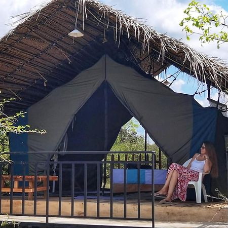 Basecamp - Yala Hotel Exterior photo