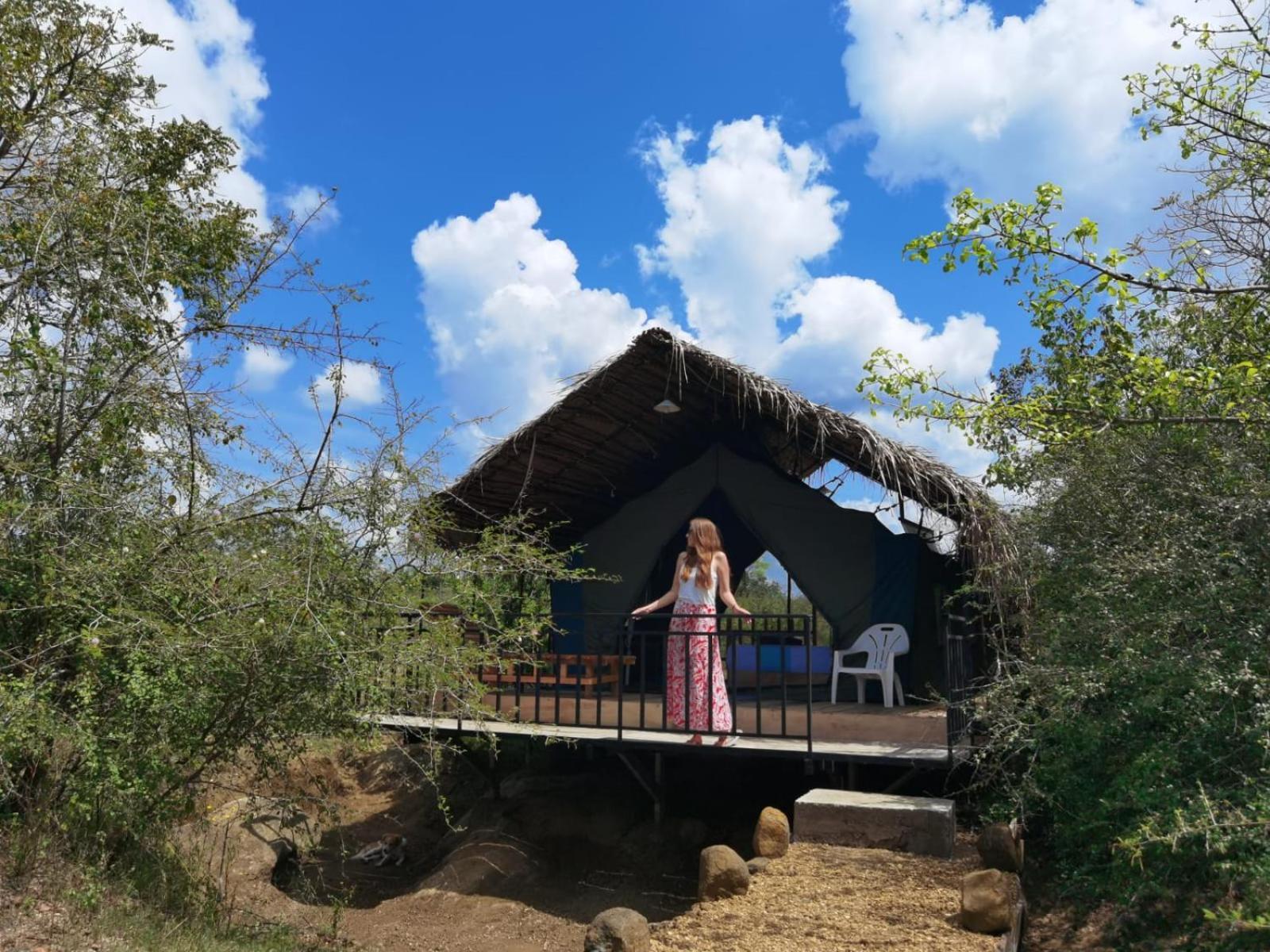 Basecamp - Yala Hotel Exterior photo